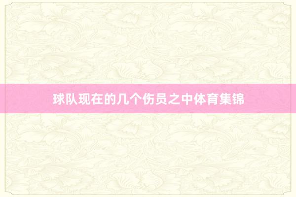 球队现在的几个伤员之中体育集锦