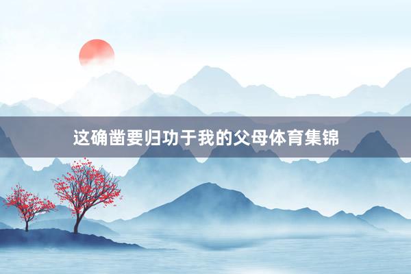 这确凿要归功于我的父母体育集锦