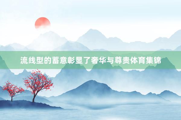 流线型的蓄意彰显了奢华与尊贵体育集锦