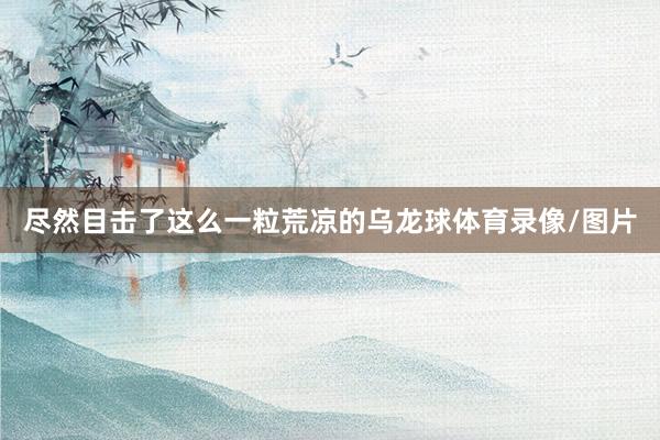 尽然目击了这么一粒荒凉的乌龙球体育录像/图片