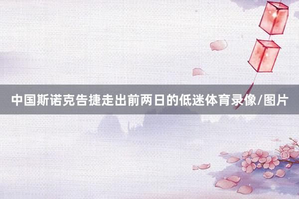 中国斯诺克告捷走出前两日的低迷体育录像/图片