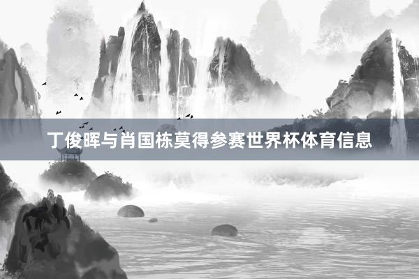 丁俊晖与肖国栋莫得参赛世界杯体育信息