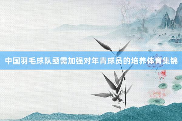 中国羽毛球队亟需加强对年青球员的培养体育集锦