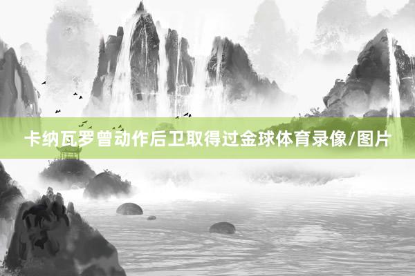 卡纳瓦罗曾动作后卫取得过金球体育录像/图片