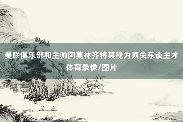 曼联俱乐部和主帅阿莫林齐将其视为顶尖东谈主才体育录像/图片