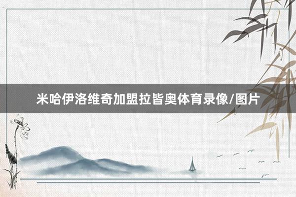 米哈伊洛维奇加盟拉皆奥体育录像/图片