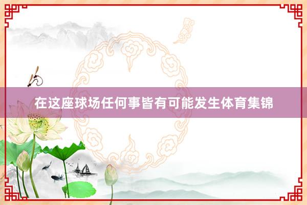 在这座球场任何事皆有可能发生体育集锦