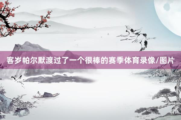 客岁帕尔默渡过了一个很棒的赛季体育录像/图片