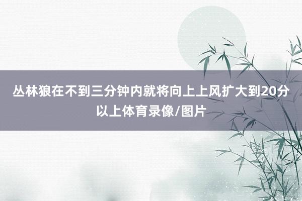 丛林狼在不到三分钟内就将向上上风扩大到20分以上体育录像/图片