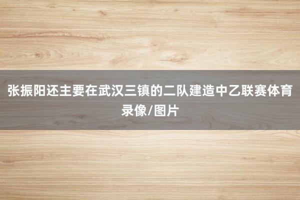 张振阳还主要在武汉三镇的二队建造中乙联赛体育录像/图片