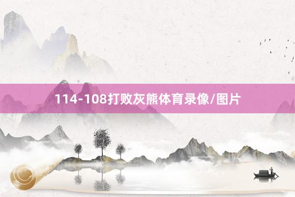 114-108打败灰熊体育录像/图片
