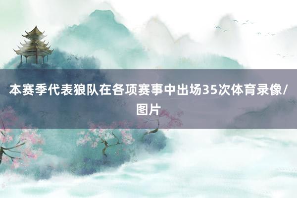 本赛季代表狼队在各项赛事中出场35次体育录像/图片