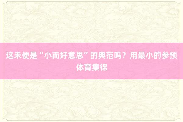 这未便是“小而好意思”的典范吗？用最小的参预体育集锦