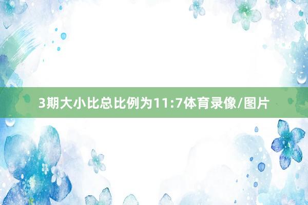 3期大小比总比例为11:7体育录像/图片