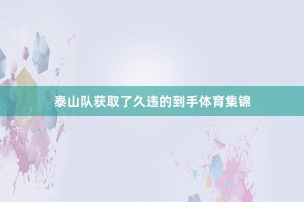泰山队获取了久违的到手体育集锦