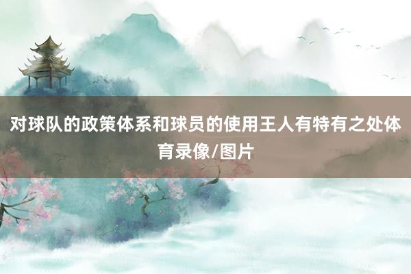 对球队的政策体系和球员的使用王人有特有之处体育录像/图片