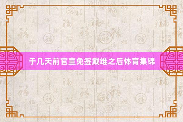 于几天前官宣免签戴维之后体育集锦
