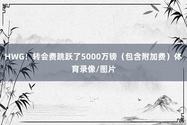 HWG！转会费跳跃了5000万镑（包含附加费）体育录像/图片