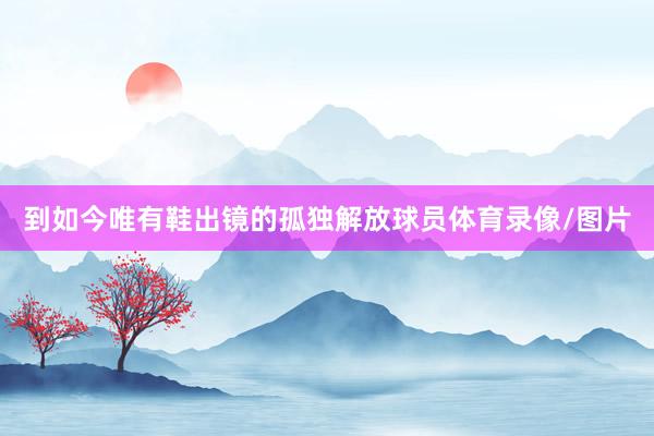 到如今唯有鞋出镜的孤独解放球员体育录像/图片