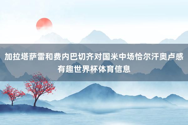 加拉塔萨雷和费内巴切齐对国米中场恰尔汗奥卢感有趣世界杯体育信息