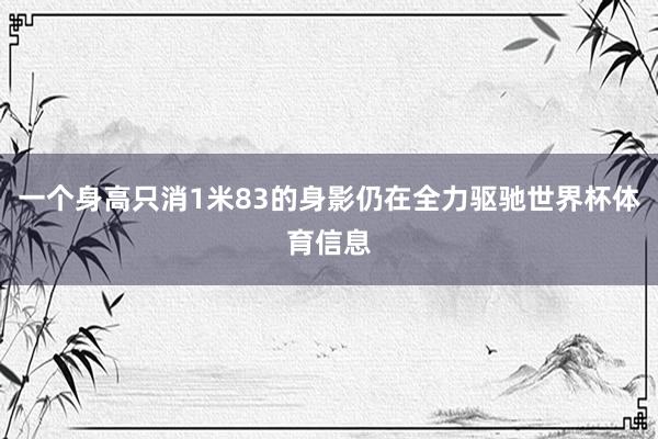 一个身高只消1米83的身影仍在全力驱驰世界杯体育信息