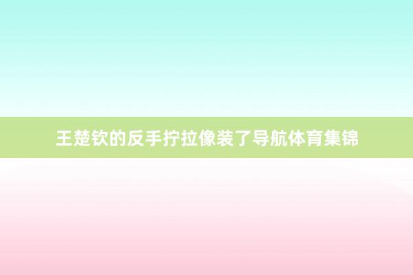 王楚钦的反手拧拉像装了导航体育集锦