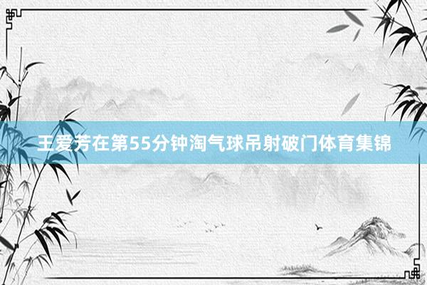 王爱芳在第55分钟淘气球吊射破门体育集锦