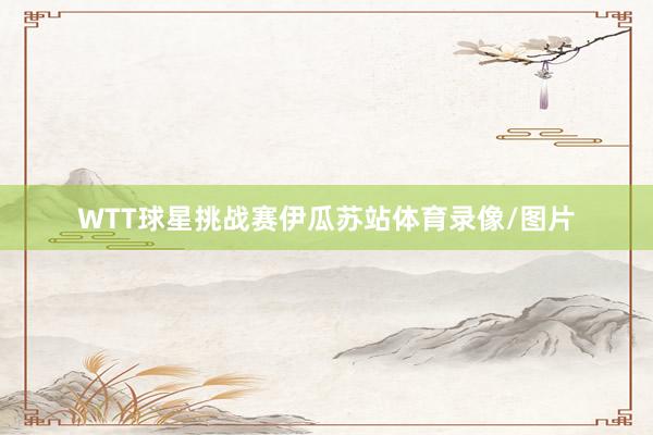 WTT球星挑战赛伊瓜苏站体育录像/图片