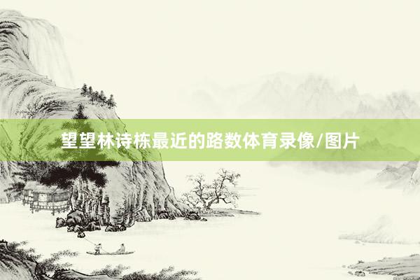 望望林诗栋最近的路数体育录像/图片