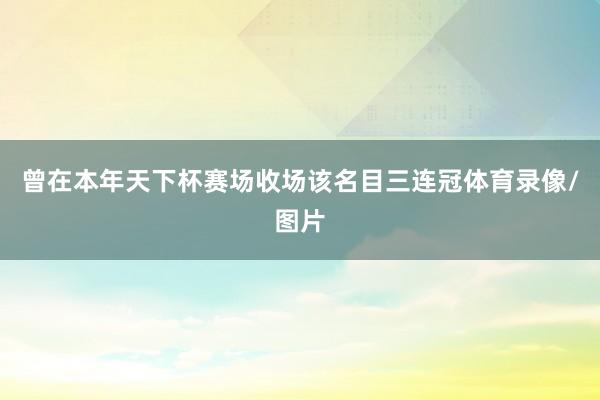 曾在本年天下杯赛场收场该名目三连冠体育录像/图片