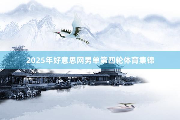 2025年好意思网男单第四轮体育集锦