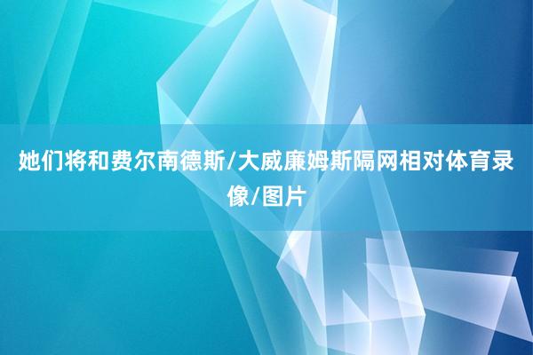 她们将和费尔南德斯/大威廉姆斯隔网相对体育录像/图片