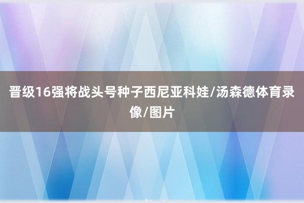晋级16强将战头号种子西尼亚科娃/汤森德体育录像/图片