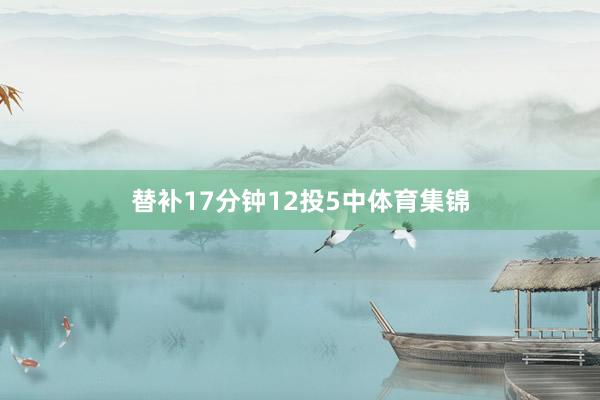 替补17分钟12投5中体育集锦