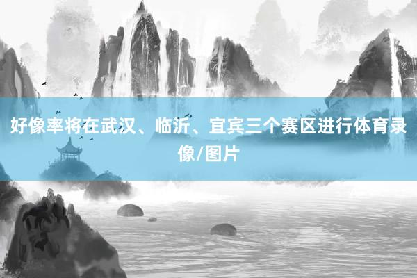 好像率将在武汉、临沂、宜宾三个赛区进行体育录像/图片