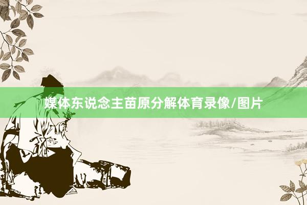 媒体东说念主苗原分解体育录像/图片