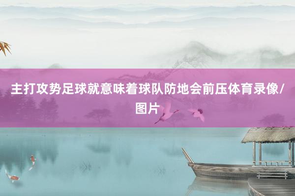 主打攻势足球就意味着球队防地会前压体育录像/图片