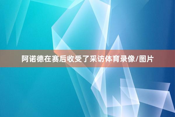 阿诺德在赛后收受了采访体育录像/图片