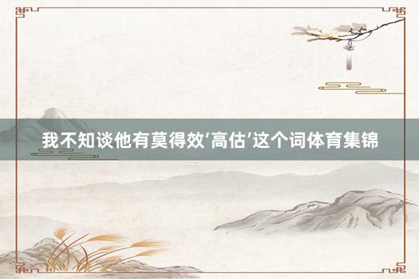 我不知谈他有莫得效‘高估’这个词体育集锦