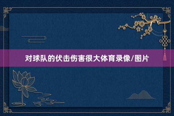 对球队的伏击伤害很大体育录像/图片