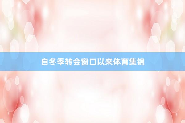 自冬季转会窗口以来体育集锦