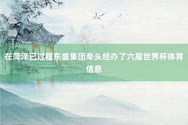 在菏泽已过程东盛集团牵头经办了六届世界杯体育信息