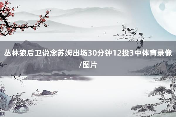 丛林狼后卫说念苏姆出场30分钟12投3中体育录像/图片