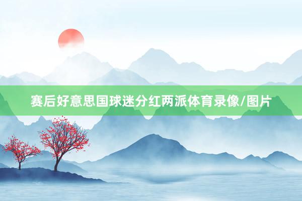 赛后好意思国球迷分红两派体育录像/图片