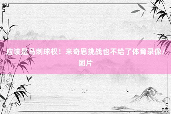 应该是马刺球权！米奇思挑战也不给了体育录像/图片