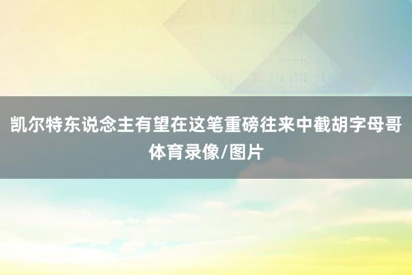 凯尔特东说念主有望在这笔重磅往来中截胡字母哥体育录像/图片