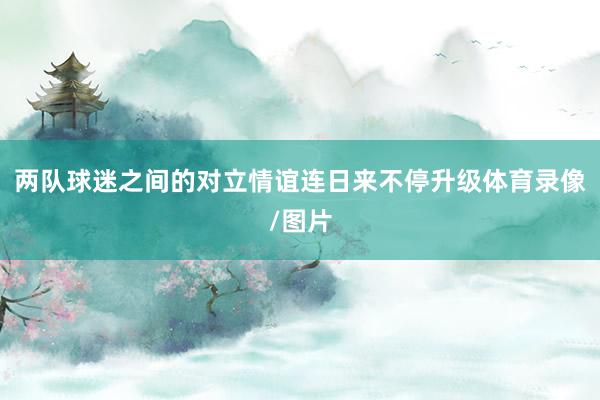 两队球迷之间的对立情谊连日来不停升级体育录像/图片