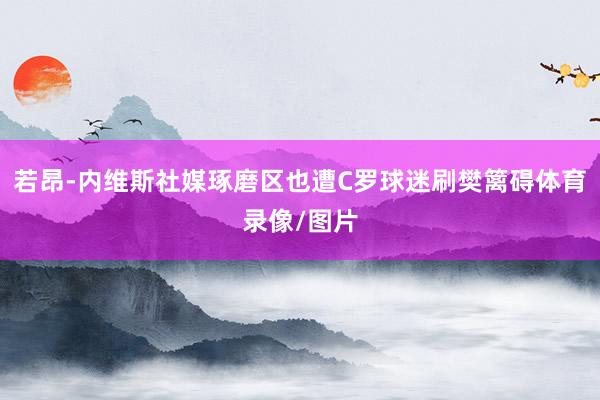 若昂-内维斯社媒琢磨区也遭C罗球迷刷樊篱碍体育录像/图片
