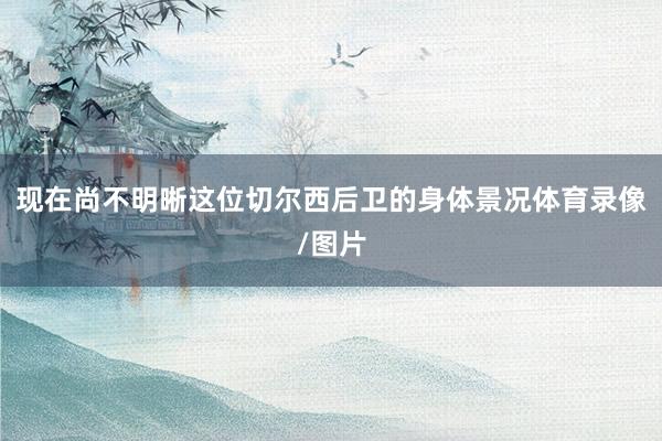 现在尚不明晰这位切尔西后卫的身体景况体育录像/图片